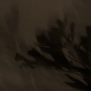 Meet your Posher, Dillon